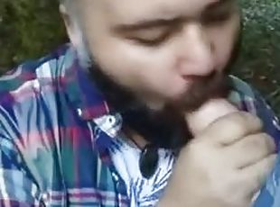 Bearded bear suicking cock in the woods