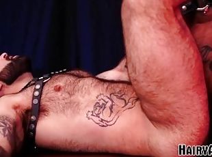pai, peluda, chupanços, pénis-grande, hardcore, gay, paizinho, tatuagem, urso, pénis