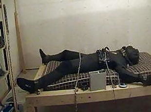 Young boy from Bremen with electro torture