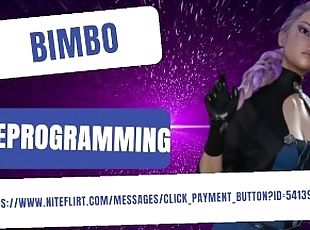 Bimbo Reprogramming Preview