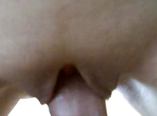 Shaved pussy close up