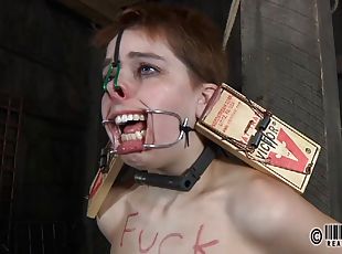 Slave tied on pole with mouth widened in BDSM porn