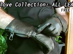 Glove Collection All Leather Trailer by HoundstoothHank