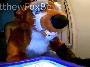 Matthew Fox gets stuck in the washing machine and fucked by a twink ( Fursuit / Furry / Mursuit )