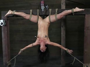 Good-looking woman hung upside down by her randy master