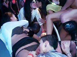 Cocks sucked and fucking sluts at great party
